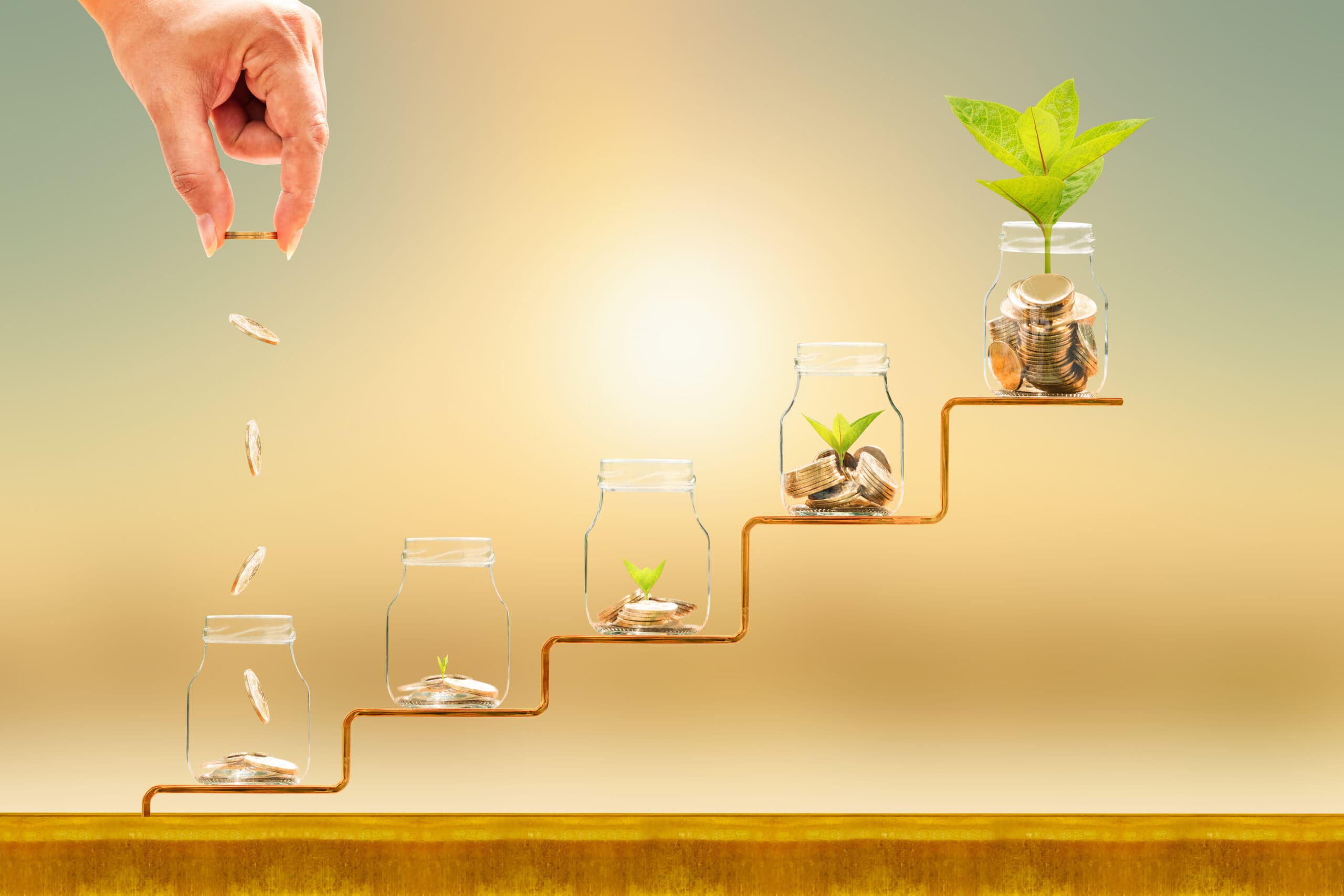 Everything you need to know about PPK: The Employee Capital Plans.
