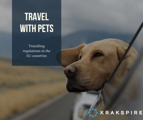 travel with your pets